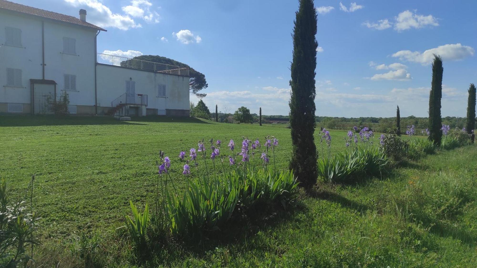 Willa Borgo Iris Pietraia Zewnętrze zdjęcie