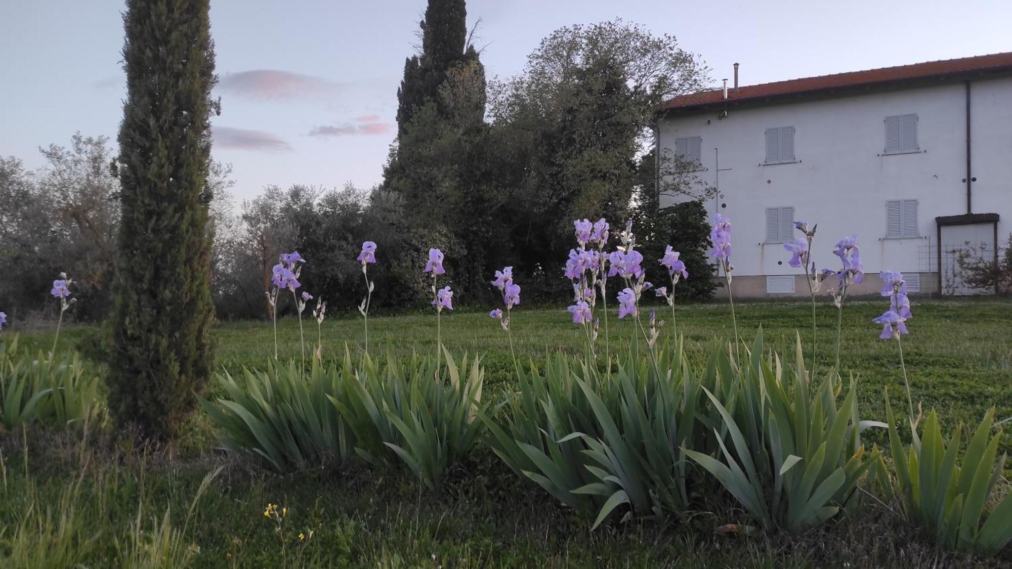 Willa Borgo Iris Pietraia Zewnętrze zdjęcie