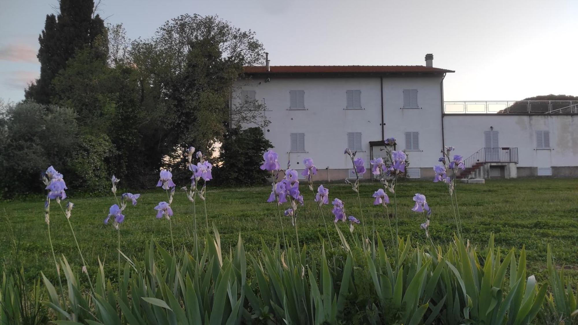 Willa Borgo Iris Pietraia Zewnętrze zdjęcie